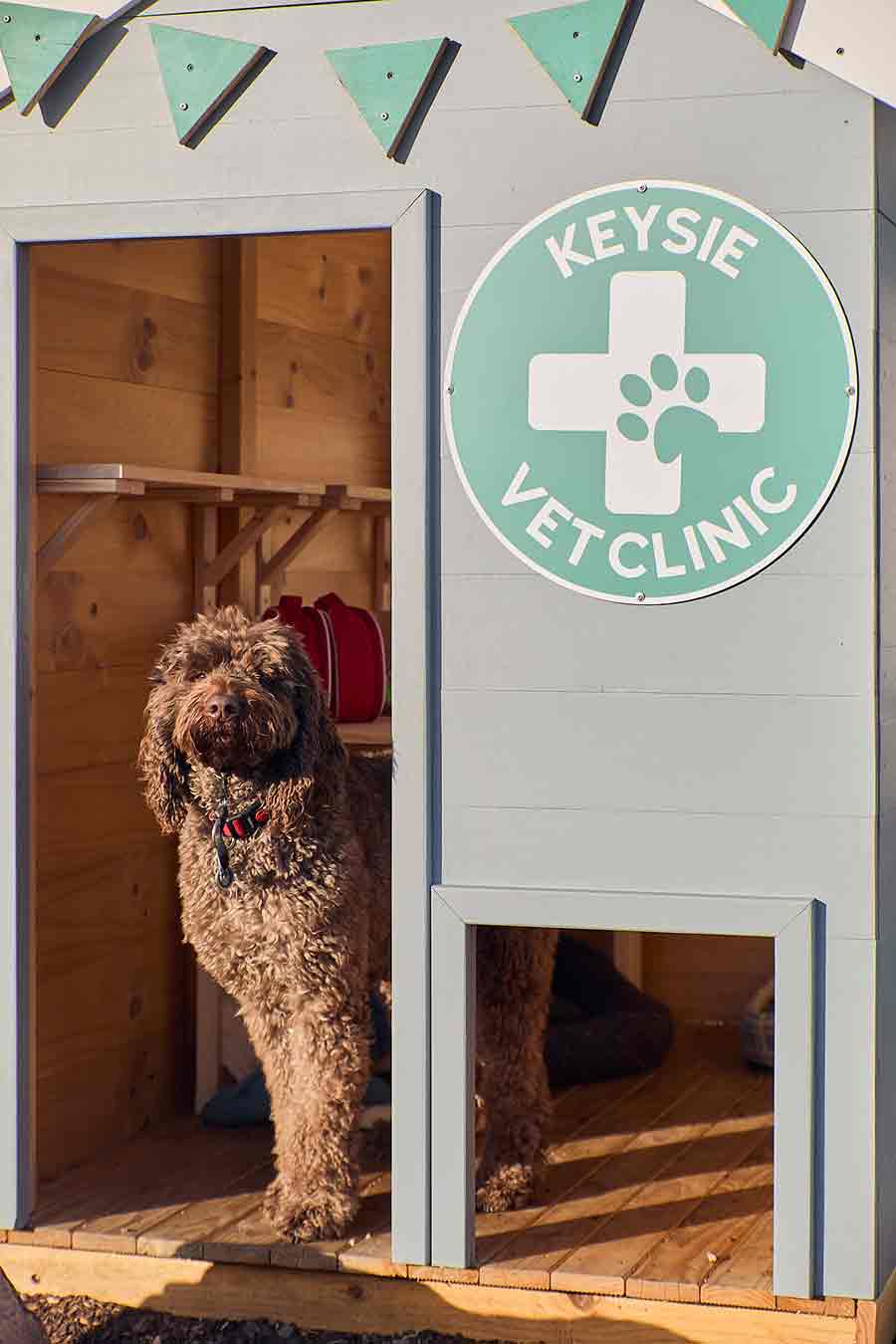 Meet Buddy: The Dog at the Heart of One School’s Play Village