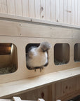 Barn Style Chicken Coop