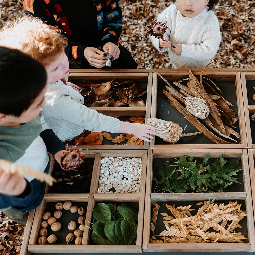 Close-up of children using an Exploration & Loose Parts Table in an ELC, with dividers holding natural materials like leaves and pebbles.