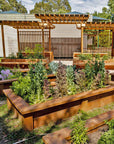 Wooden raised garden beds with plants in front of a pergola in a school setting