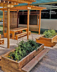 Raised timber garden bed with seating with Table and pergola in landscaped outdoor classroom