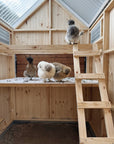 Barn Style Chicken Coop