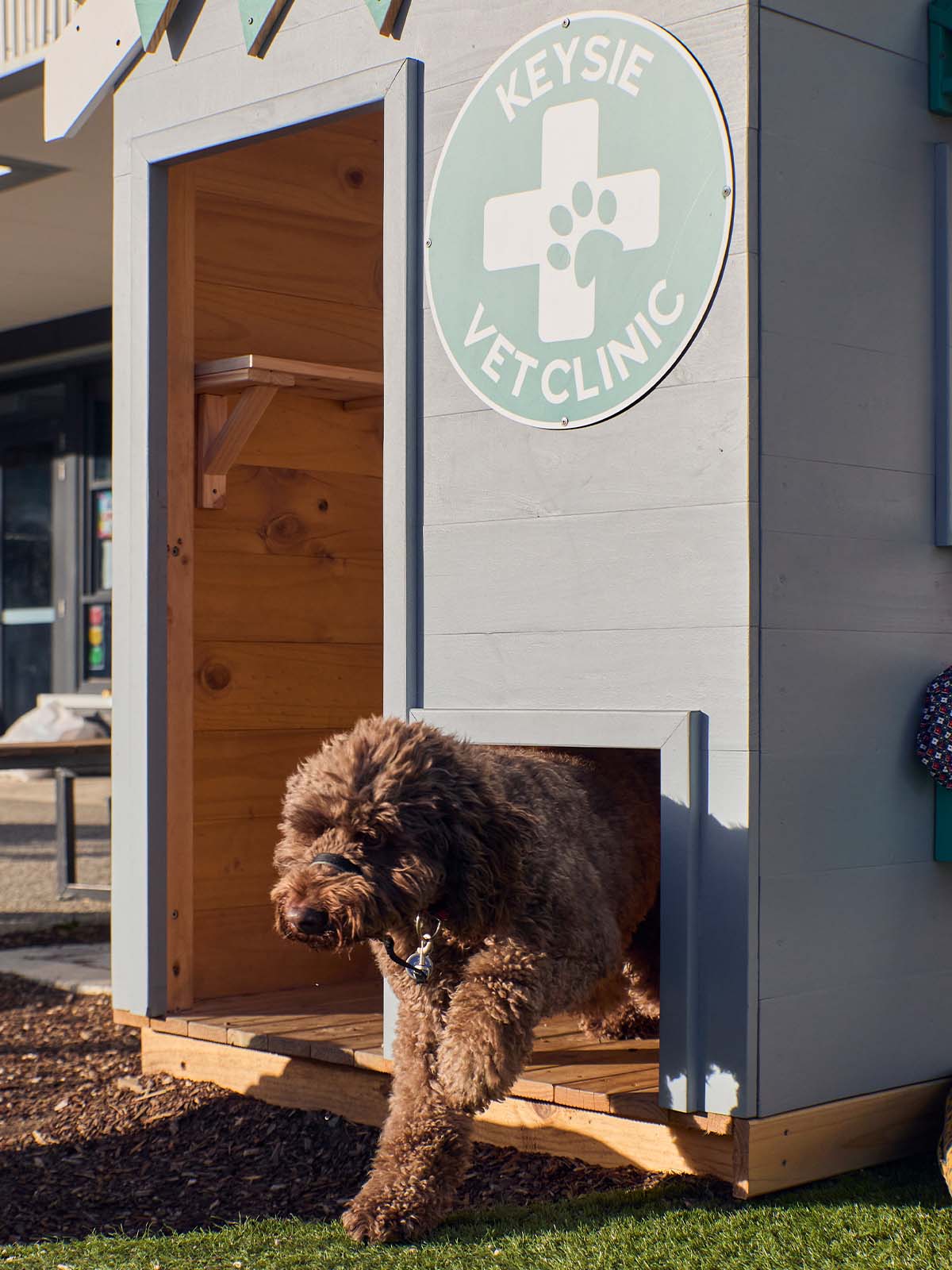 Close up of a vet themed grey and green cubby house doorway and matching doggy door with a cute dog leaping through the doggy door