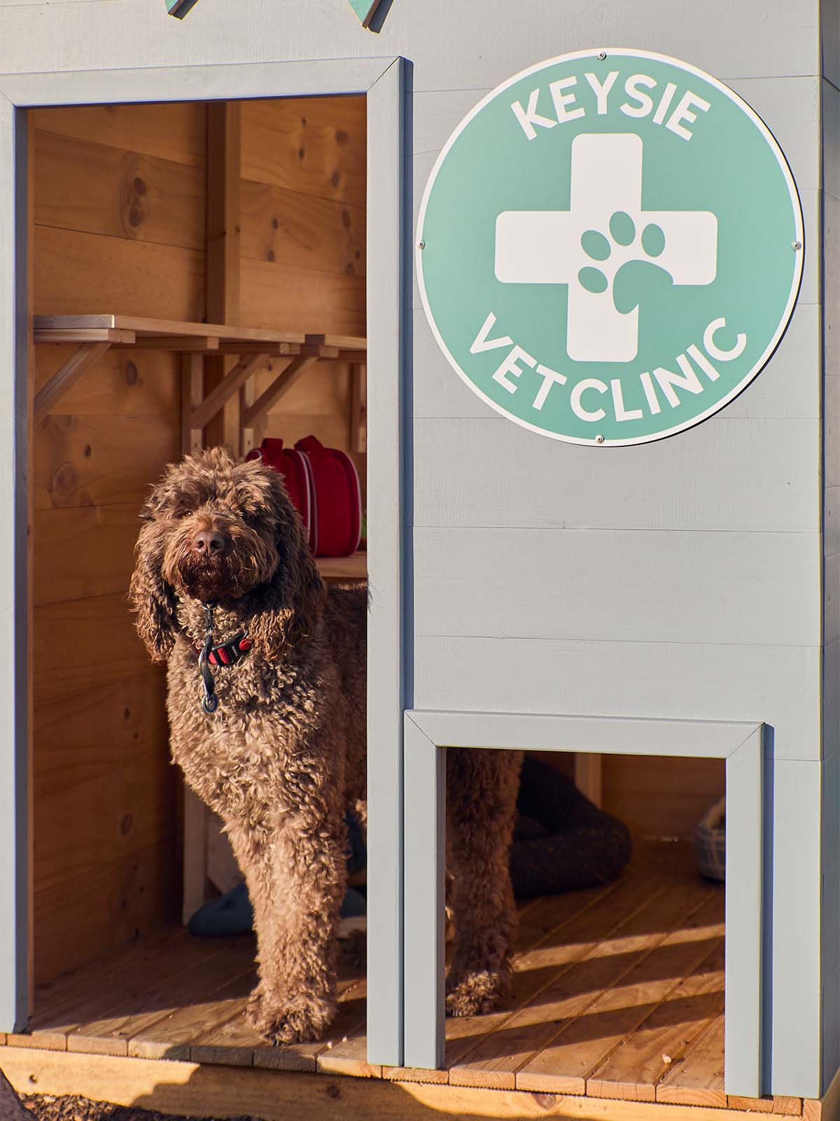 Close up of a vet themed grey and green cubby house doorway and matching doggy door with a cute dog posing in the doorway