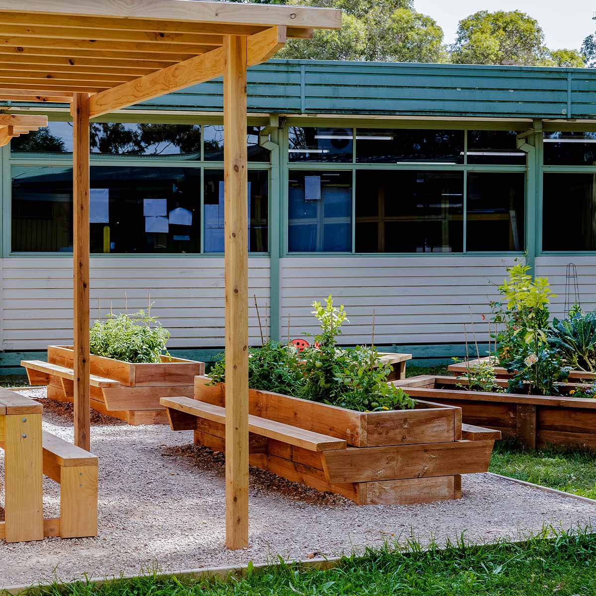Raised timber garden bed with seating in landscaped outdoor classroom and vegetable garden