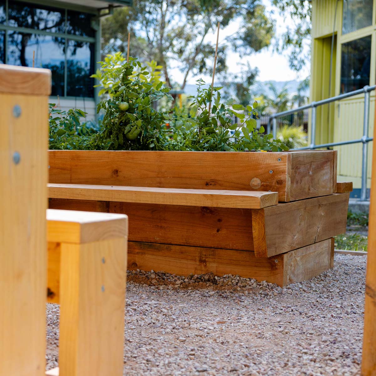 Raised timber garden bed with seating detail shot in landscaped outdoor classroom