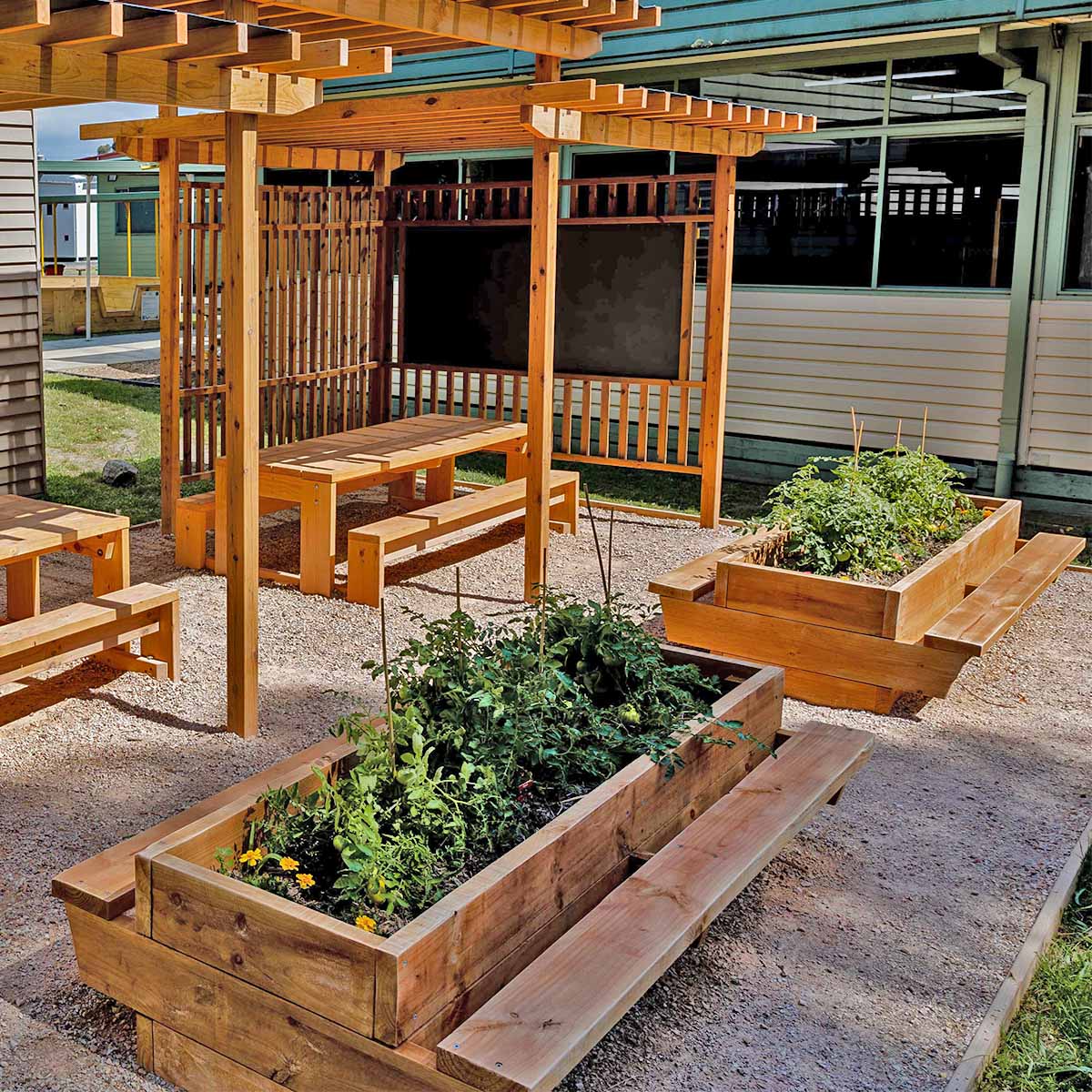 Raised timber garden bed with seating with Table and pergola in landscaped outdoor classroom