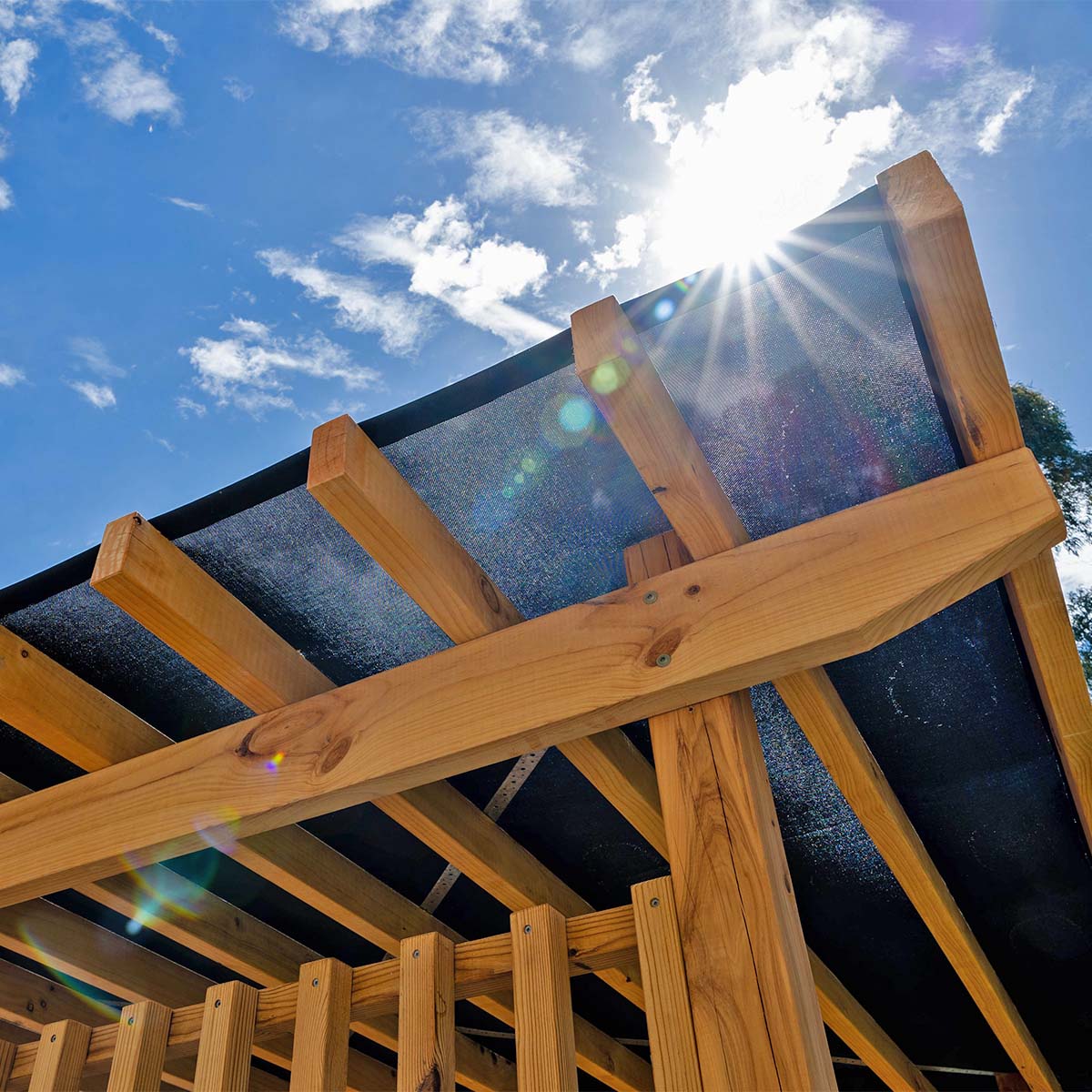 Timber pergola detail with a blue sky and sun in the background