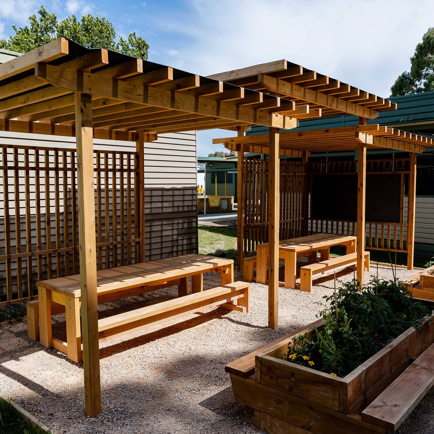 A timber shade structure with a mesh canopy and wooden benches underneath, situated in a school 