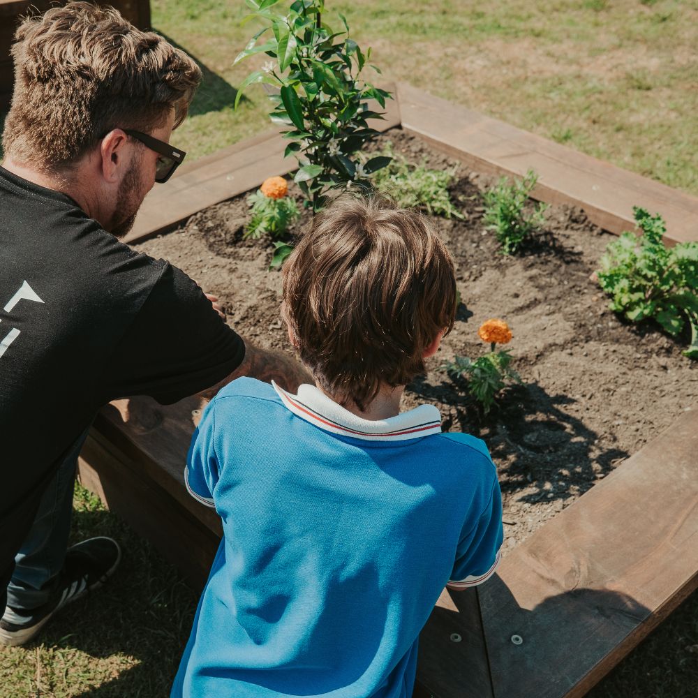 Wooden Raised Garden Bed Kits with seating edge - built from high quality Australian timber