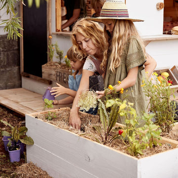 Wooden Garden Planter Boxes made from Australian timbers and suitable for indoors or outdoors